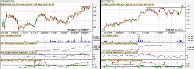 Elemental analiza techniczna