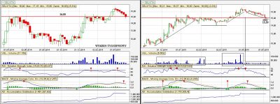 Selvita aktualizacja