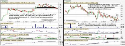 Analiza techniczna Biomass