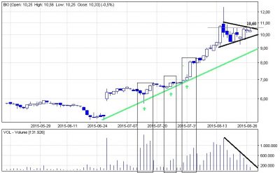 Analiza techniczna Bioton