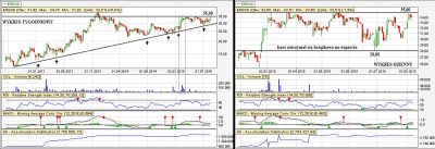 Analiza techniczna Erbud