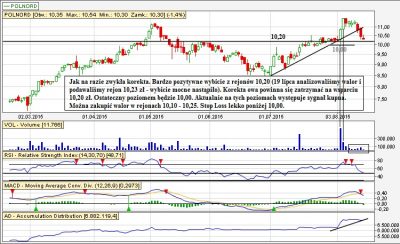 Analiza techniczna Polnord