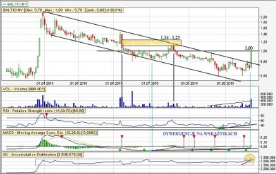 Analiza techniczna BalticINV