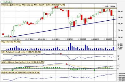 Analiza techniczna Budimex dz