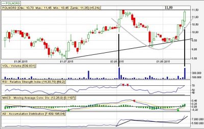 Polnord analiza techniczna