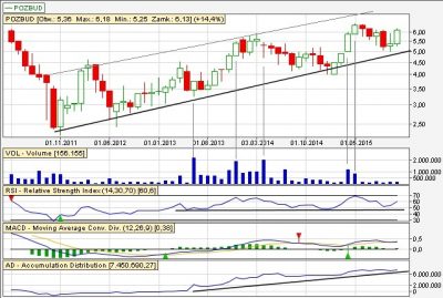 Analiza techniczna Pozbud