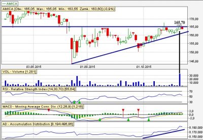 Dlugoterminowy trend wzrostowy Amica dz