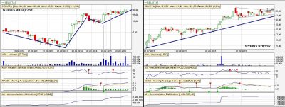 Selvita dlugoterminowo