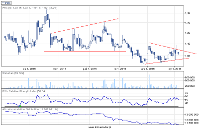 biznesradar.pl_draw-2