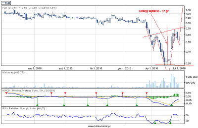 biznesradar.pl_draw-1