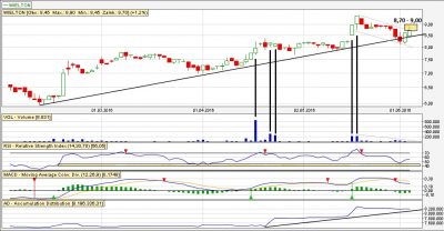 Analiza techniczna Wielton