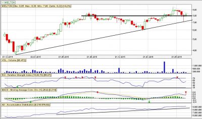Analiza techniczna Wielton tyg