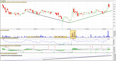 Jujubee testowanie dna